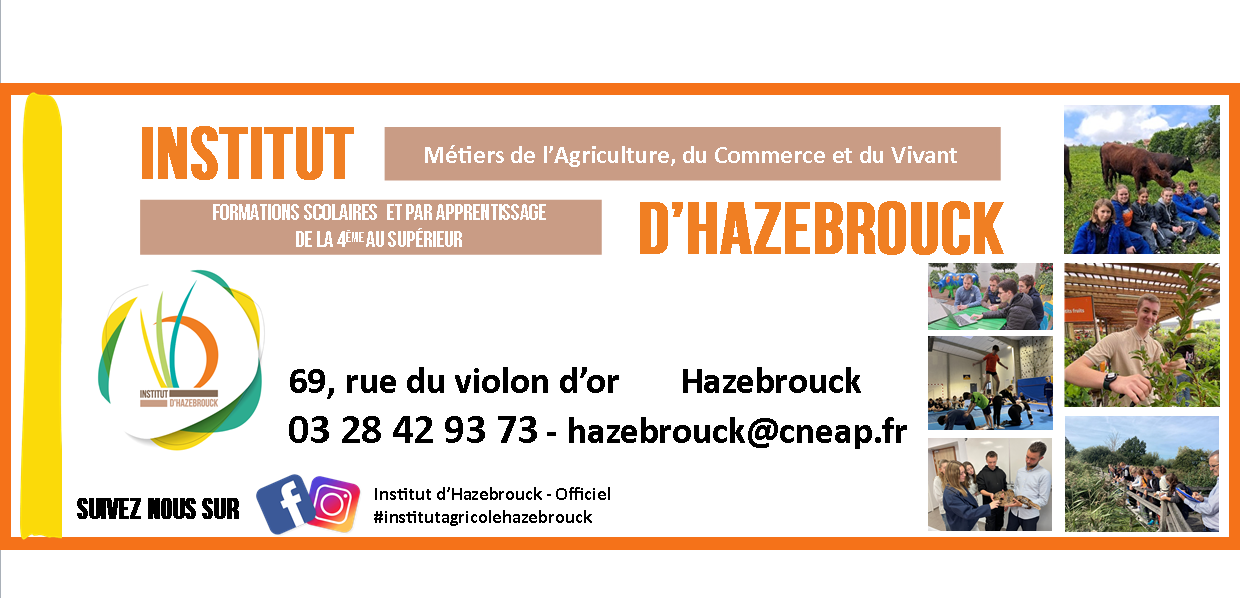 Bienvenue à l'Institut 