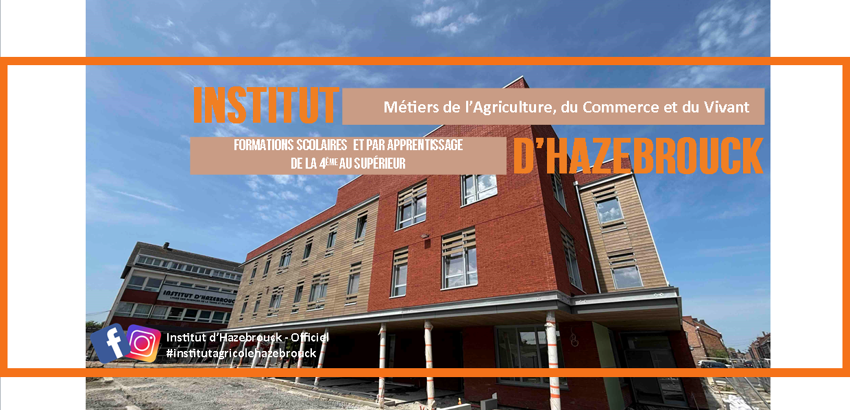 LE NOUVEAU BATIMENT