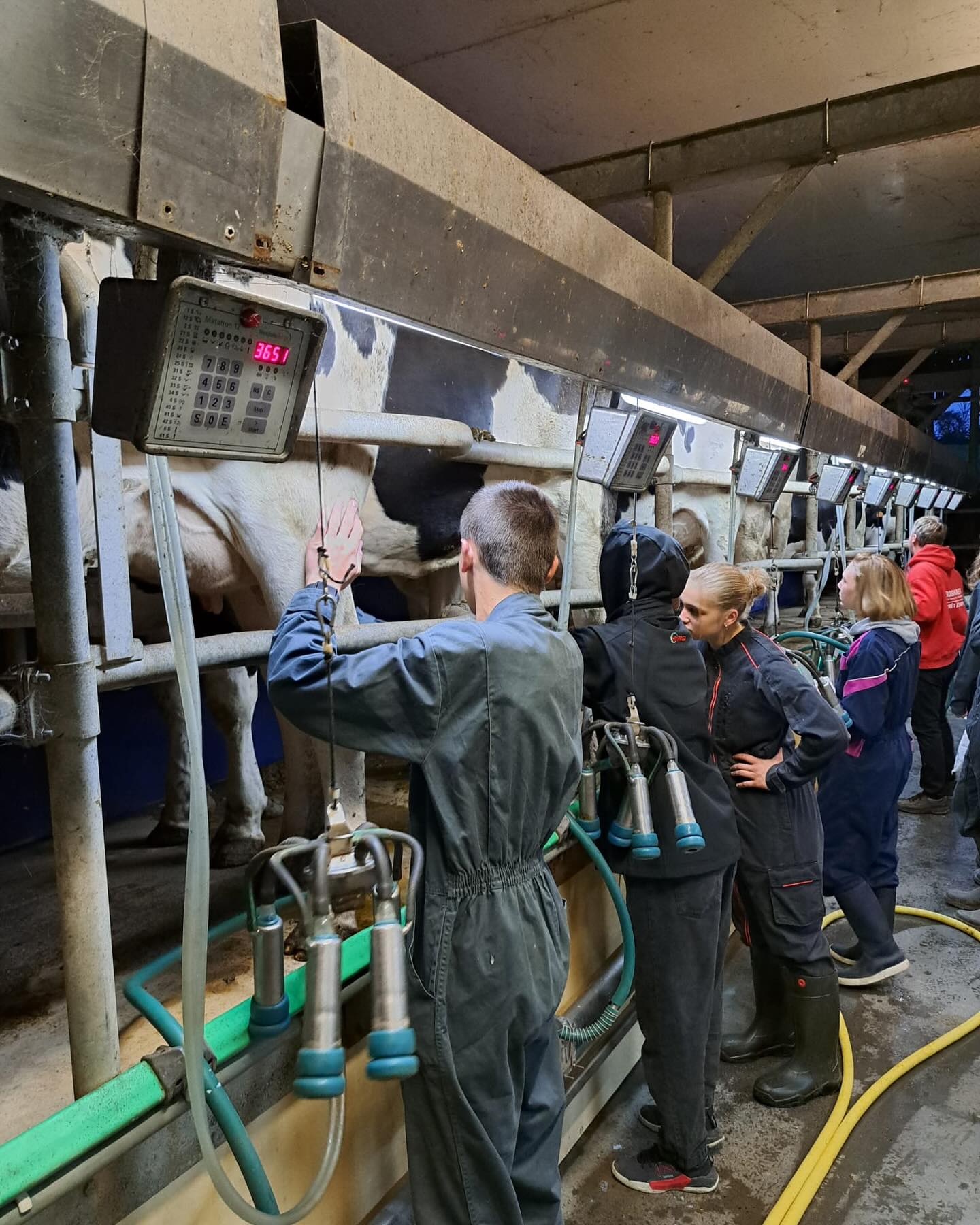 CS CEBL (Conduite d&rsquo;un élevage bovin lait)