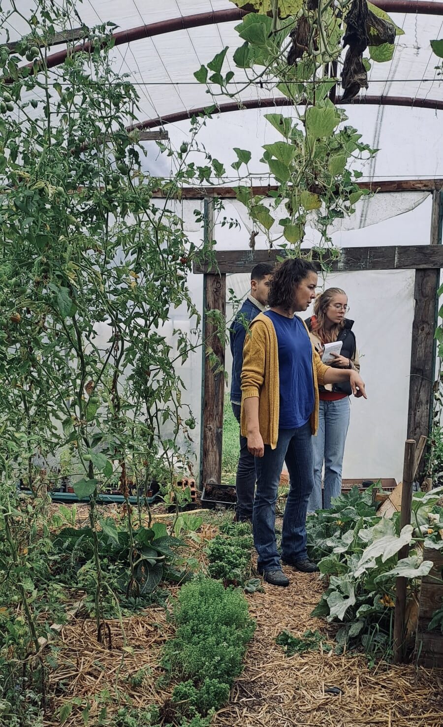 CS PTCPF (Production, Transformation, Commercialisation de Produits Fermiers)